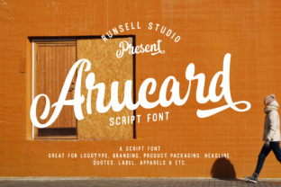Arucard Script: A Designer’s Honest Review
