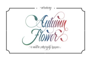 Autumn Flower Font: A Web Designer’s Review