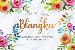 Blangku Font: Elevate Your Brand Identity