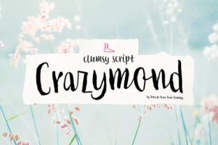 Crazymond: A Designer’s Honest Review for Real Projects