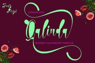 Qalinda: A Calligraphic Font for Modern Web Design