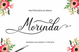 Reviewing Morinda: A Designer’s Take on Script Amp